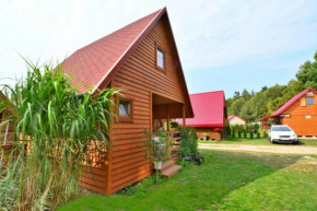 Cozy and comfortable holiday home, Jaros awiec